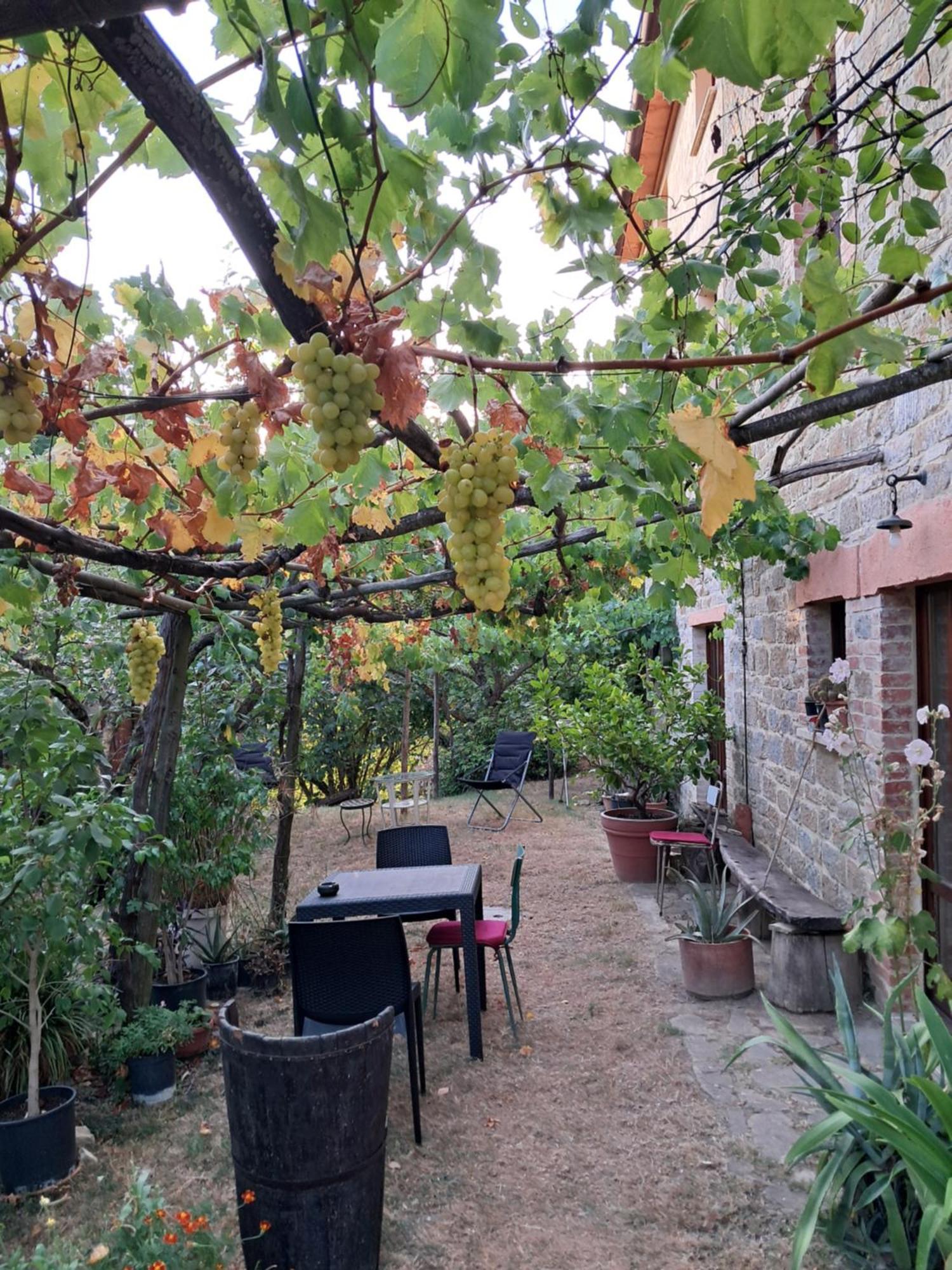 La Fonte B&B Pietralunga  Ngoại thất bức ảnh