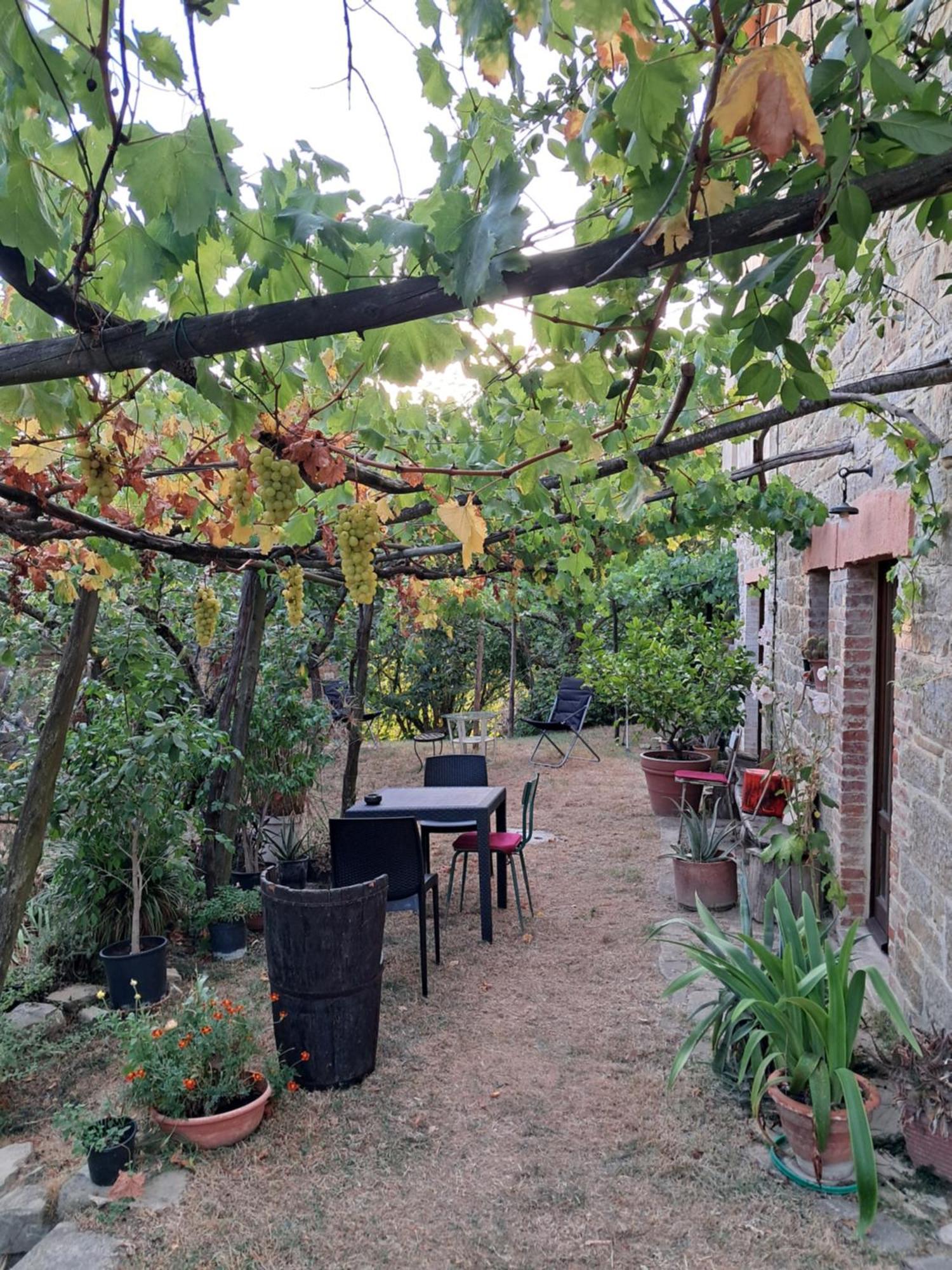La Fonte B&B Pietralunga  Ngoại thất bức ảnh