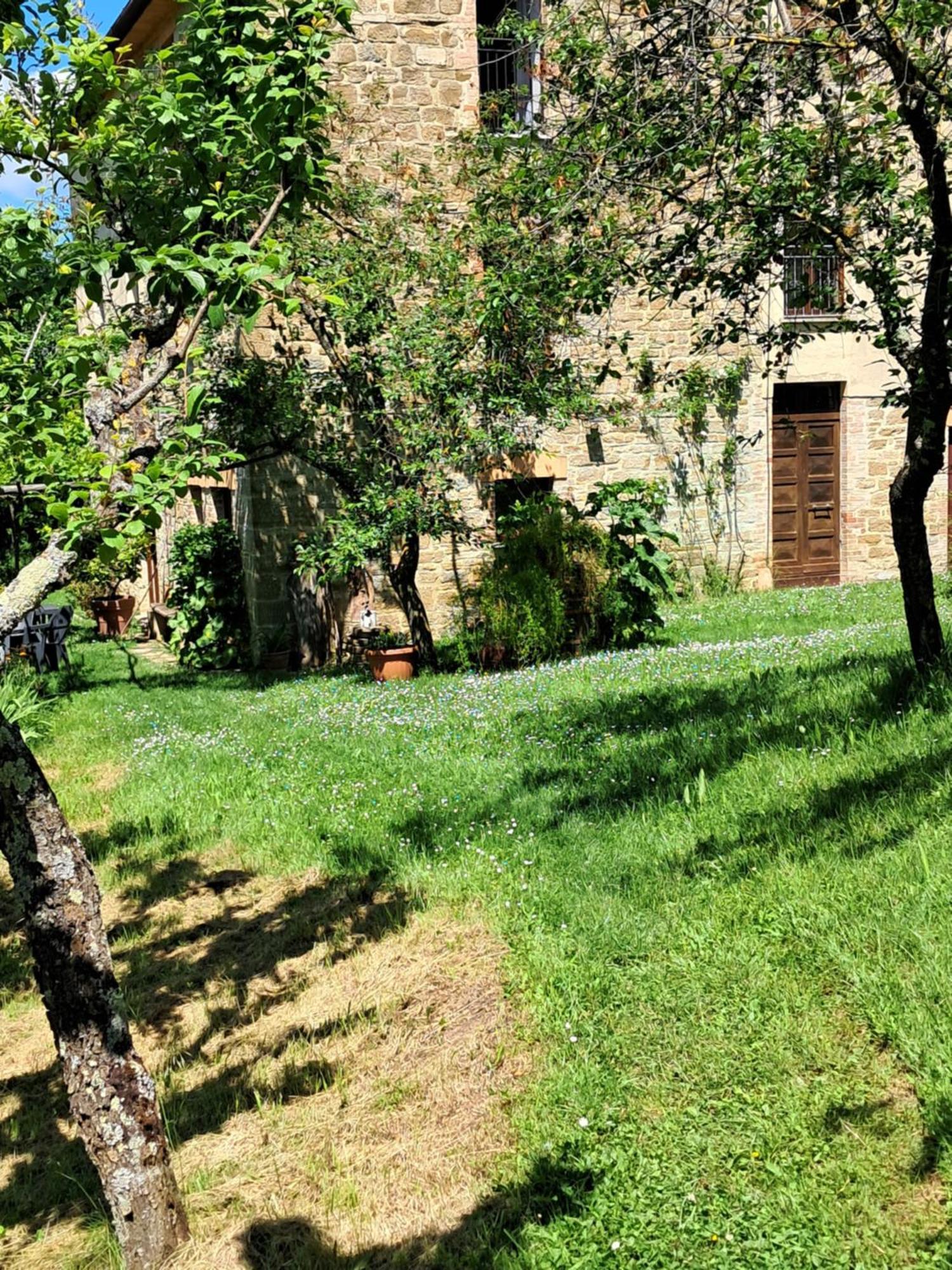 La Fonte B&B Pietralunga  Ngoại thất bức ảnh